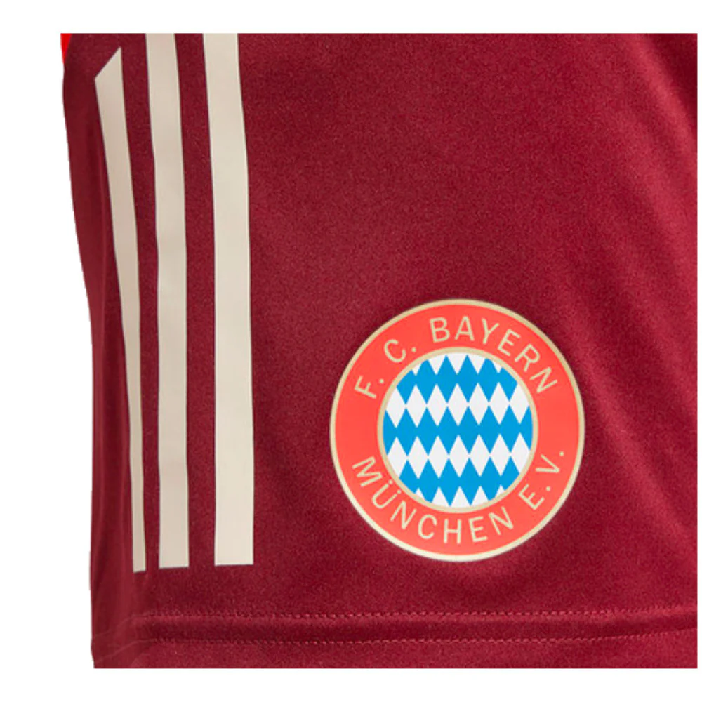 2024-2025 Bayern Munich EU Training Shorts (Shadow Red) - Image 12