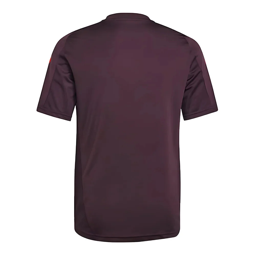 2024-2025 Bayern Munich Training Shirt (Shadow Maroon) - Kids - Image 2