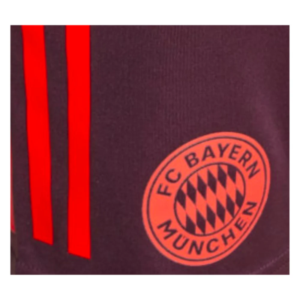 2024-2025 Bayern Munich Training Shorts (Shadow Maroon) - Kids - Image 2