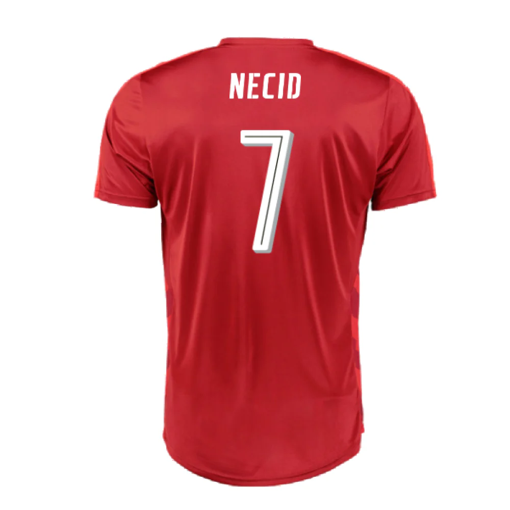 Czech Republic 2016-17 Home Shirt (XL) (Good) (Necid 7) - Image 2